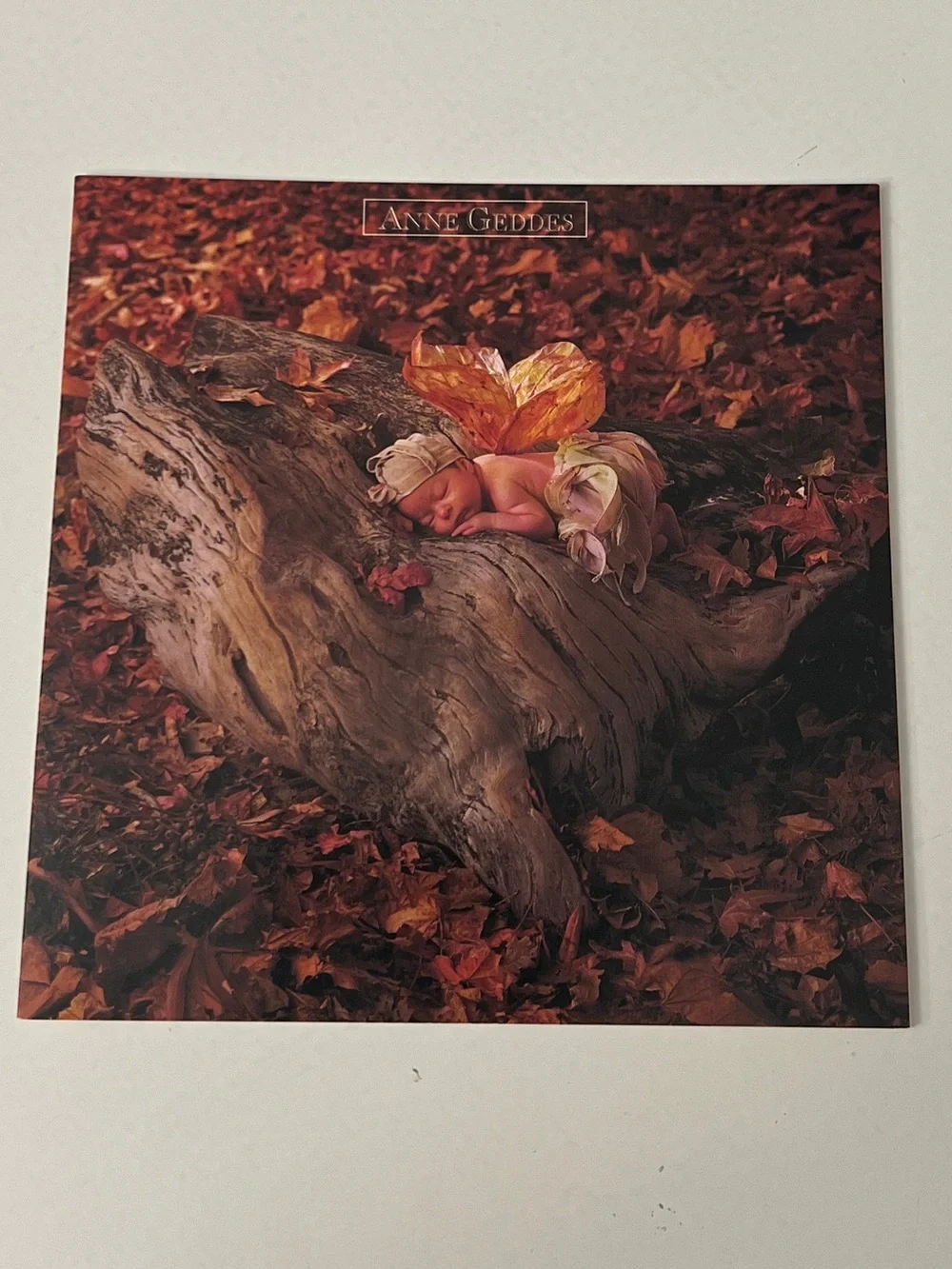 Anne Geddes Notecards Down In The Garden (not a full set)